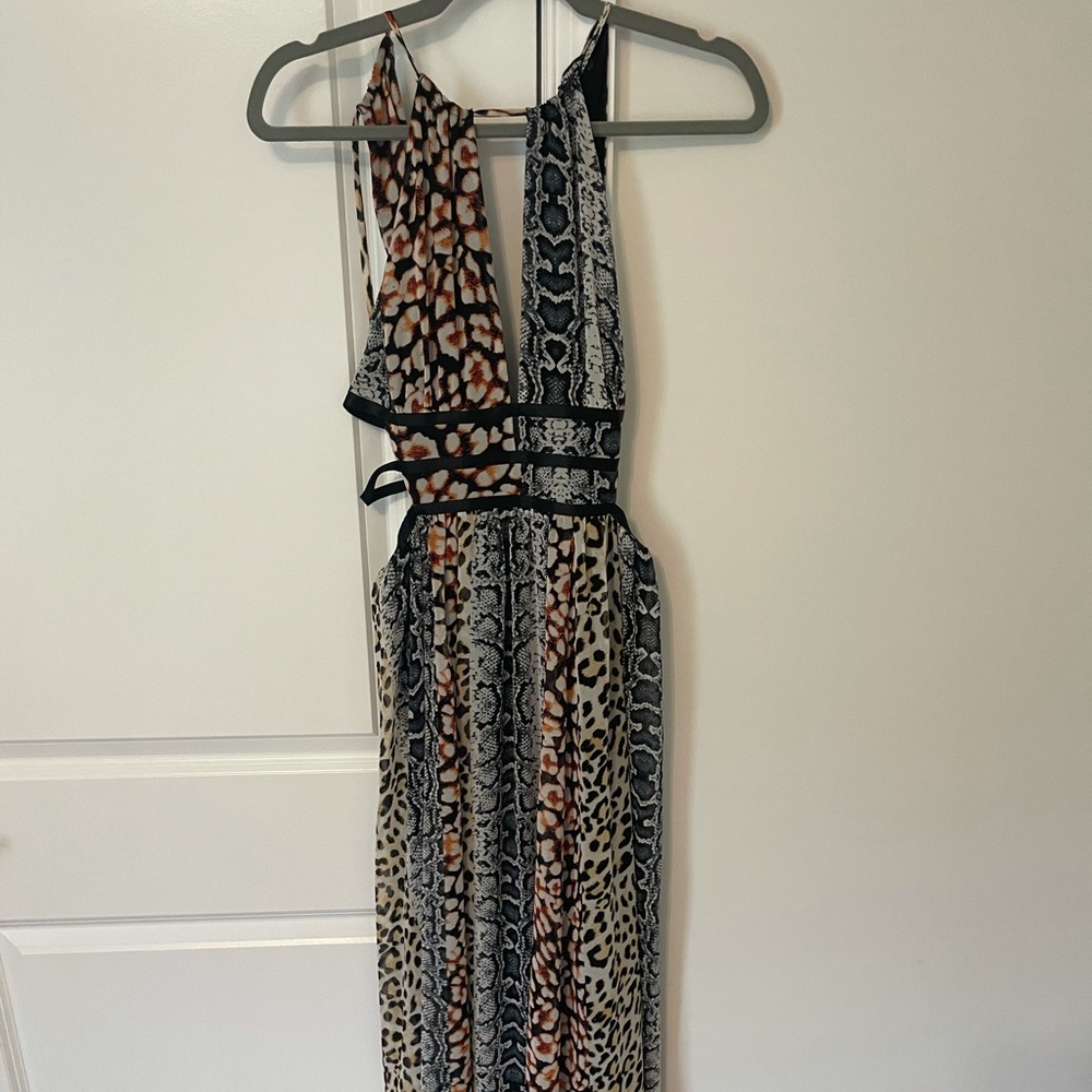Express Maxi Dress-worn once
